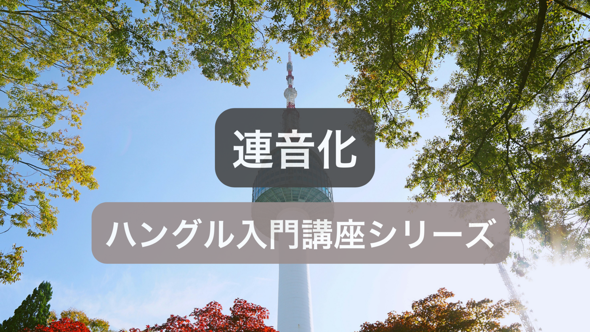 韓国語の連音化の法則と発音ルール