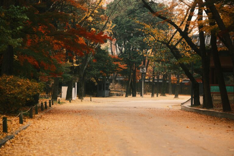 韓国語の年齢表現を整理！「나이」「연세」や「살」と「세」の表現