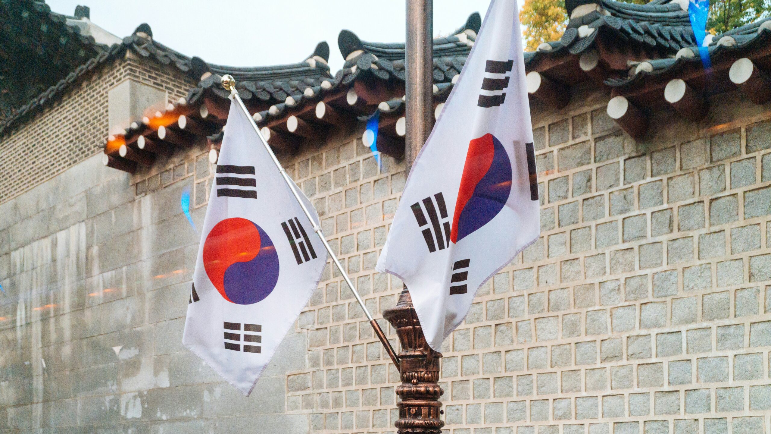 石垣の前に掲げられた2本の韓国国旗